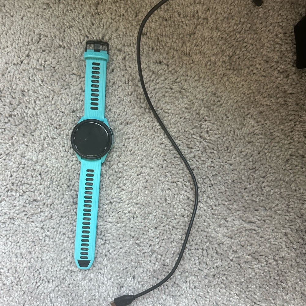 Garmin forerunner 256